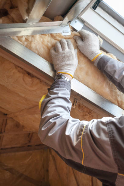 Best Types of Insulation in Waianae, HI